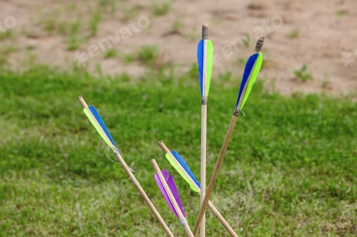 Preview: Closeup of colorful wooden arrows in the field