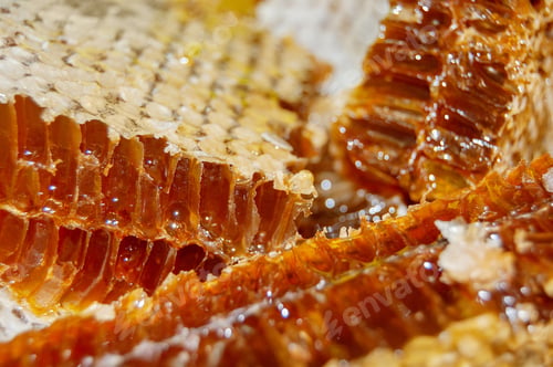 Preview: Honeycomb Close Up Displaying Natural Honey