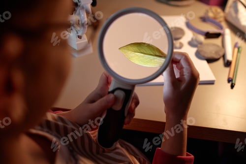 Preview: Child Examining Leaf through Magnifying Glass Demonstrating Curiosity