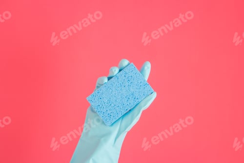 Preview: Close Up of Hand Holding Cleaning Sponge