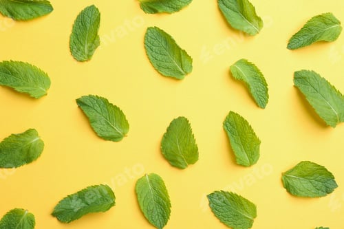 Preview: Fresh mint leaves on yellow background, flat lay