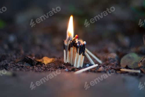 Preview: small fire made out of matchsticks in the backyard garden, concept idea.