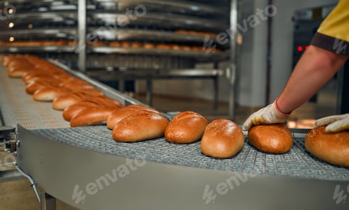 Preview: Bakery