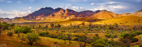 Preview: Flinders Glory