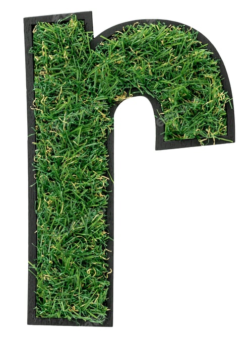 Preview: Letter R made of green grass isolated on white.