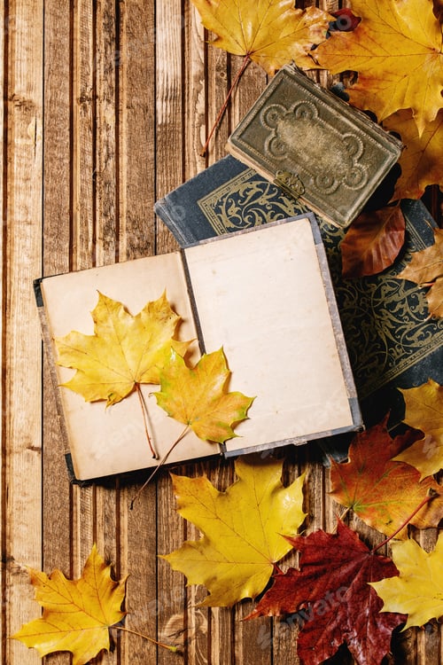 Preview: Books and autumn leaves