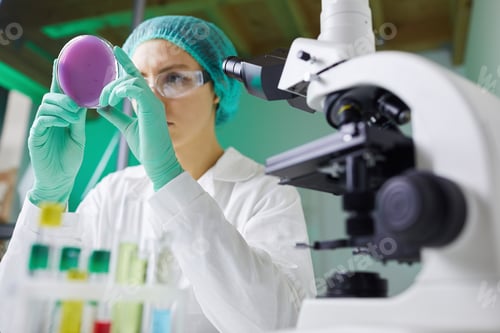 Preview: Researching Bacteria