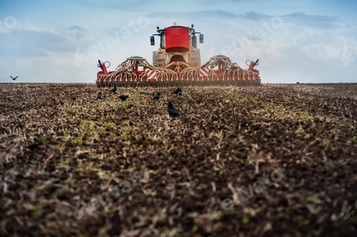 Preview: Farmers sow, tractor with a seeder in a plowed field