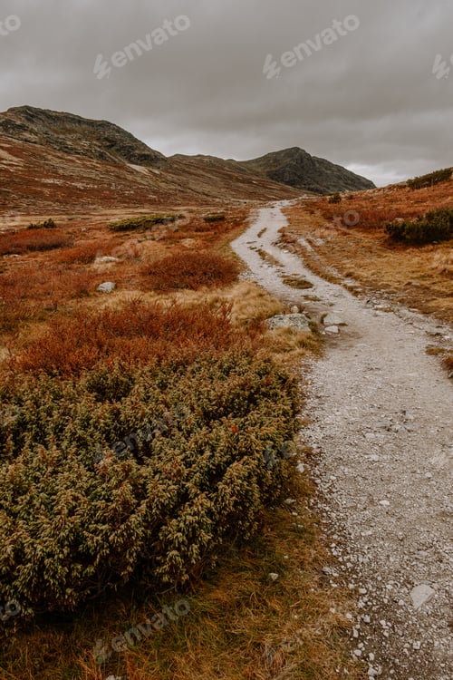 Preview: autumn mountain landscape of Rondane in Norway, trail from Smuksjøseter Fjellstue to Peer Gynt hytta