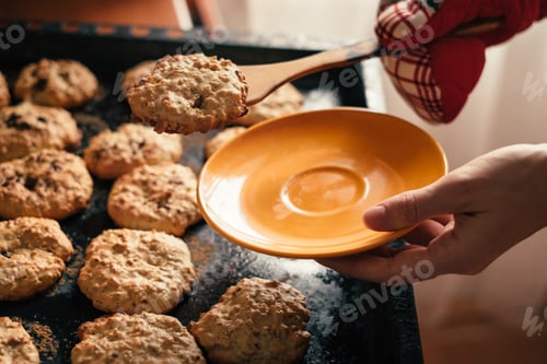 Preview: Freshly Baked Cookies on Tray Ready to Serve