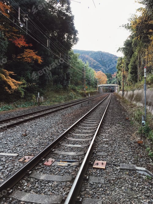 Preview: Old railway surrounded with beautiful nature