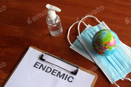 Preview: Facemask, hand sanitizer, earth globe and paper clipboard with text ENDEMIC