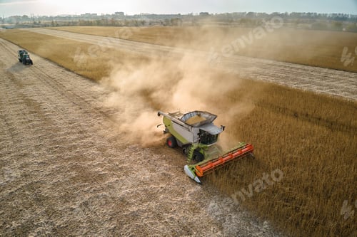 Preview: Aerial view of combine harvester working during harvesting season on large ripe wheat field.