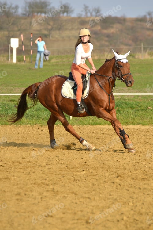 Preview: Horse At Jumping Competition