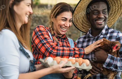 Preview: Happy farmers picking up fresh eggs in henhouse garden - Farm people lifestyle concept