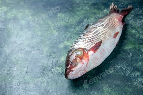 Preview: front view fresh raw fish on dark blue background shark seafood meal ocean meat horizontal water