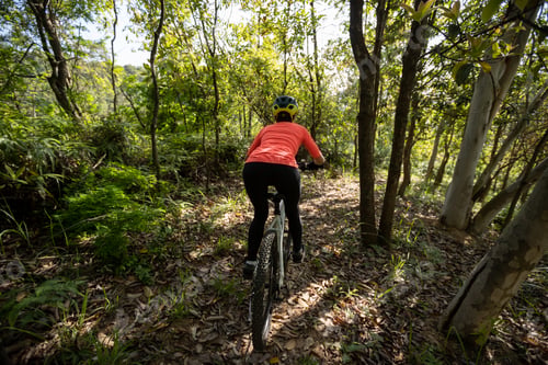 Preview: Mountain biking on spring forest trail