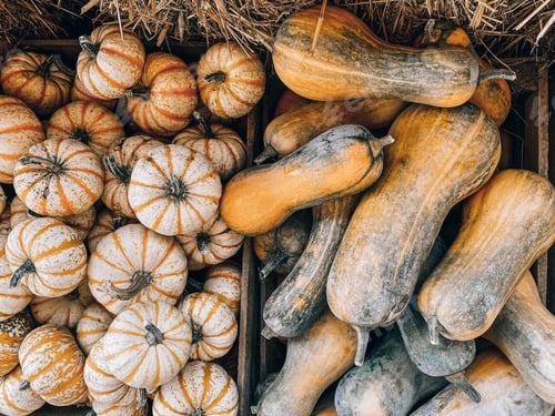 Preview: Pumpkins