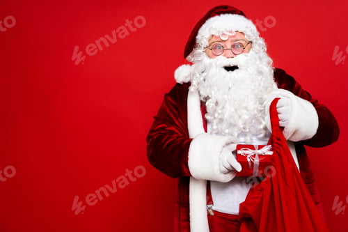 Preview: Funny Santa Claus portrait