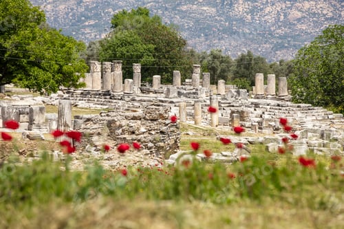 Preview: Ruins of the ancient sanctuary Lagina, Turkey