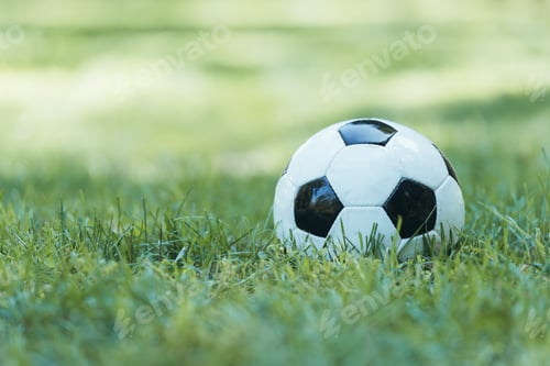 Preview: close-up view of leather soccer ball on green grass