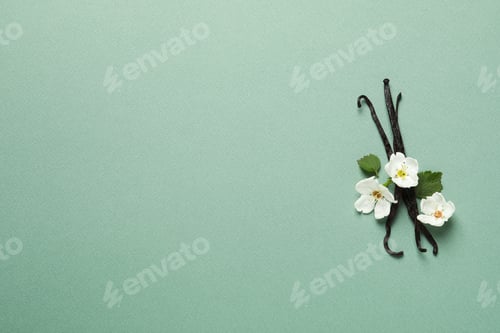 Preview: Concept of aromatherapy with aromatic vanilla extract