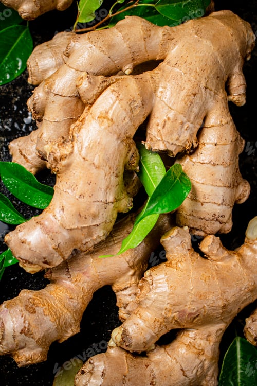 Preview: Fresh ginger root with leaves.