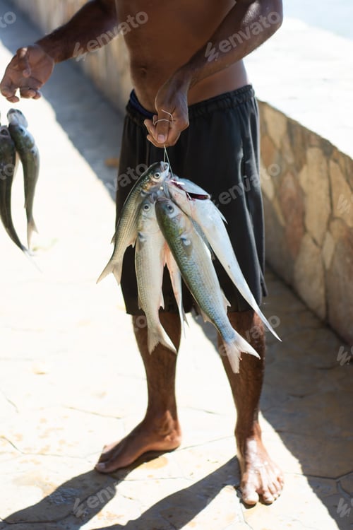 Preview: Fisherman man with fresh fish in hand. mullet