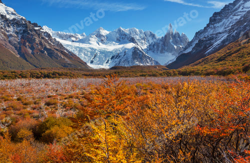 Preview: Autumn in Patagonia