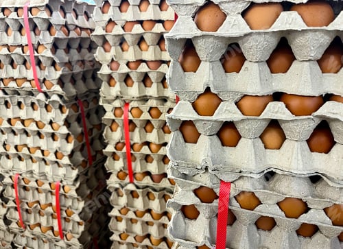 Preview: Chicken eggs in egg tray for sale in supermarket