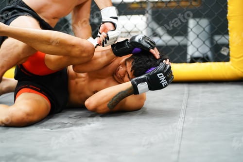 Preview: Mixed Martial Art, When the opponent is knocked down throwing fists into an opponent's face or body