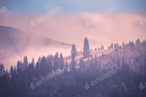 Preview: Foggy autumn landscape