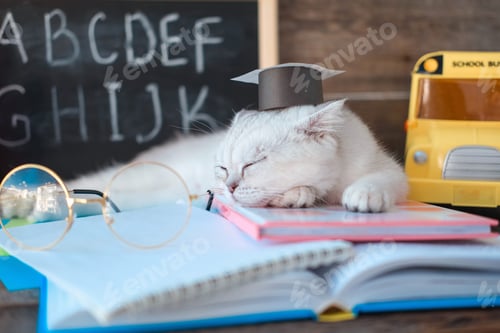 Preview: Cat Nap on Books Wearing Graduation Cap