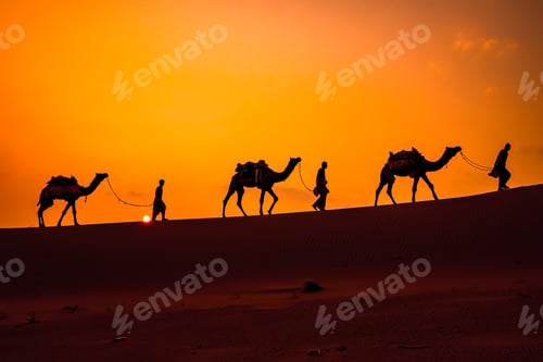 Preview: Cameleers, camel Drivers at sunset. Thar desert on sunset Jaisalmer, Rajasthan, India.