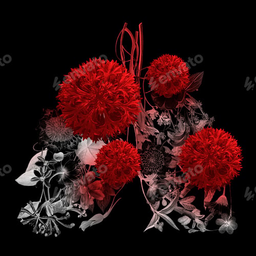 Red Floral Arrangement on a Black Background