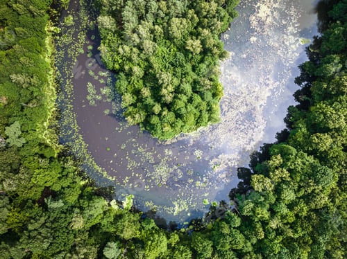 Preview: Curvy river and forests. Aerial view of wildlife in Poland