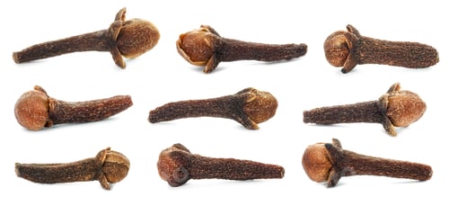 Preview: Fragrant clove buds isolated on white, set