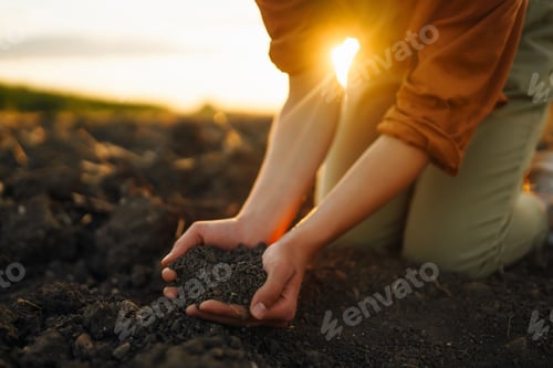 Preview: Woman farmer's hand touch soil, check its health before growing vegetables. Concept of agriculture.