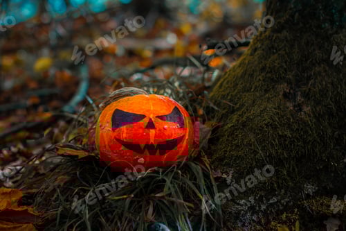 Halloween Pumpkin in the Forest. Scary pumpkin decorations with creepy toothy smile at wood