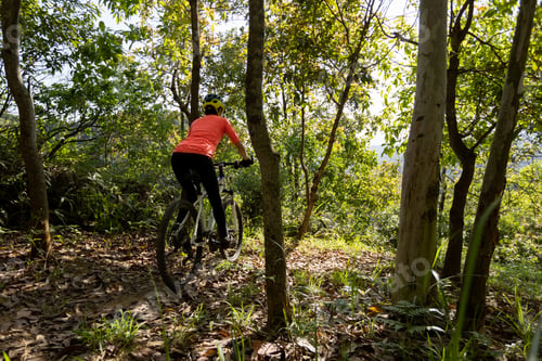 Preview: Mountain biking on spring forest trail