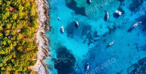 Preview: View on the boats from drone. Blue water background and coast with forest from top view.
