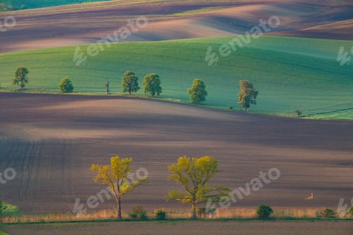Preview: Gorgeous rural landscape with green sunny spring hills. South Moravia region, Czech Republic