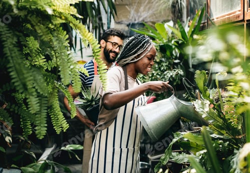 Preview: Couple taking care of the plants