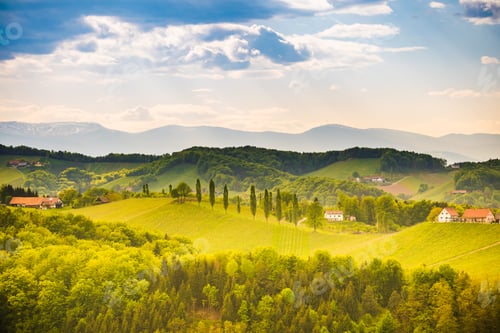 Preview: Grape hills view from wine road in Austria. South styria vineyards landscape.