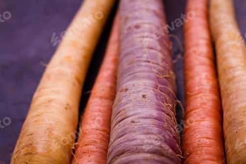 Preview: Organic Vegetables