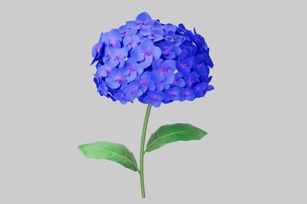 Preview: Vibrant blue hydrangea flower