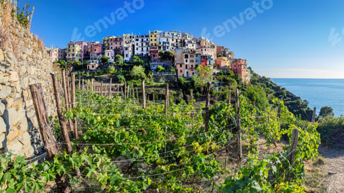 Preview: Corniglia in Cinque Terre, Italy with vineyards and terraces