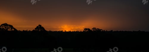 Preview: Panoramic view of golden sunset over a grassy hill with trees