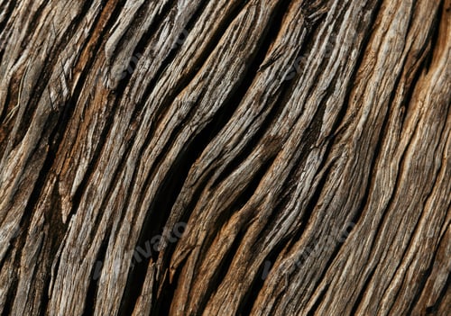 Preview: Background image of old wood texture