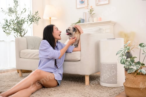 Preview: Young Woman Interacts With Her Playful Pug in a Cozy Living Room During Daytime